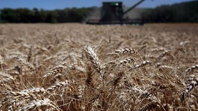 En la última campaña agrícola creció a un 41% la reposición de nutrientes