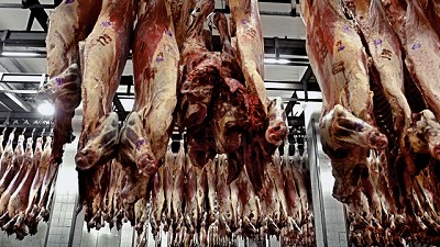 Las exportaciones de carne vacuna fueron las más altas desde 2010