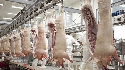 Las exportaciones porcinas crecieron un 6% en 2017