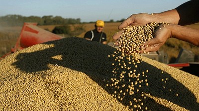 Para la FAO los precios mundiales de los alimentos subieron un 1,1% en febrero