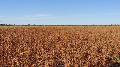 Por la sequía los productores agropecuarios perderían 2.150 millones de dólares