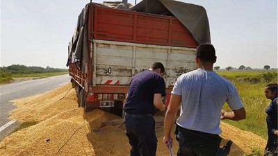 Vuelven al paro los transportistas autoconvocados de granos