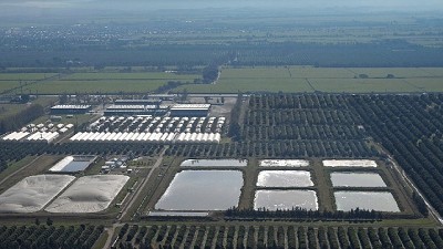 Bioeconomía circular: del limón al biogás