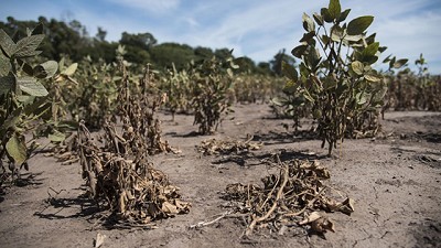 La sequía golpea la venta de maquinaria agrícola