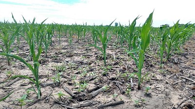 Se reúne la Comisión de Emergencia Agropecuaria de Santa Fe