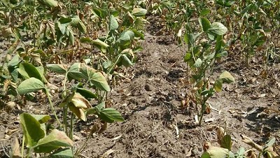 Córdoba, Santa Fe y Entre Ríos tienen más zonas con sequía que en 2009