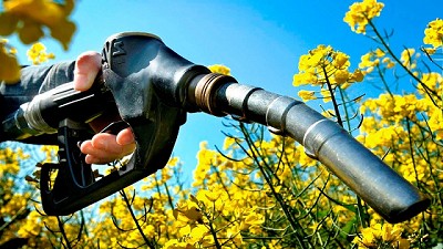 Subió el precio del biodiésel y habrá otro aumento del gasoil