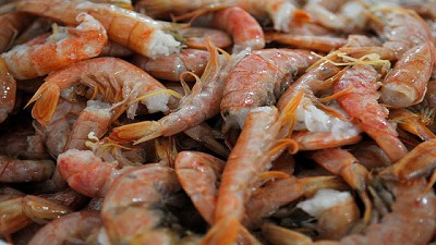 Moluscos y crustáceos se incorporan al Sello Alimentos Argentinos