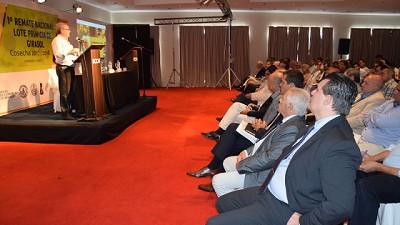 Por primera vez en la historia se remató un lote de girasol en la Argentina