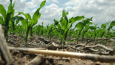 Seguros agrícolas: buscarán cómo ampliar la cobertura para los productores