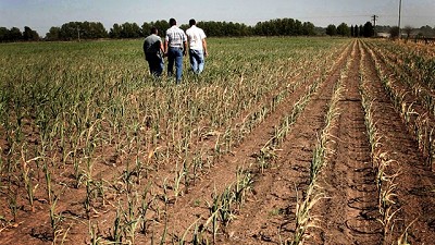 Prevén más bajas en las cosechas y se perderían casi US$5000 millones