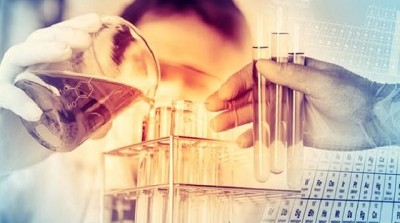 Un científico argentino obtuvo el primer embrión de oveja con células humanas que servirá para pacientes trasplantados