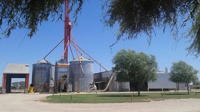 Operativos contra la evasión en el sector aceitero