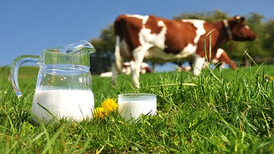 Repunta la producción de leche en el bimestre, tras dos años de caídas