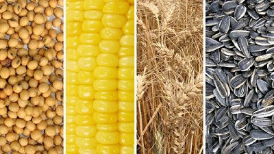 Conferencia de Prensa de las Cuatro Cadenas 