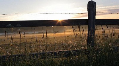 El censo rural relevará más de 190 millones de hectáreas 