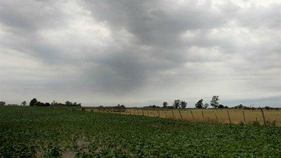 Las lluvias trajeron algo de alivio al campo, pero no reparan las pérdidas