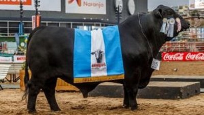 En Brangus y Braford somos campeones del mundo