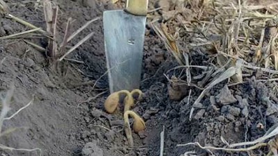 Prevén que será lenta la salida de la sequía, que se cortará en el próximo ciclo