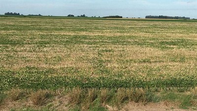 Afirman que el centro bonaerense afronta una de las peores sequías en 100 años