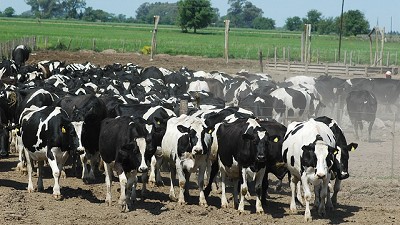 Qué cambia con la retención definitiva del 1% en el IVA para la leche