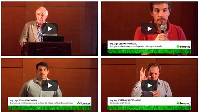 Todo lo que queres saber sobre Cultivos de Cobertura esta acá