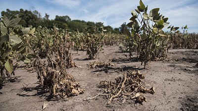 Una apuesta de riesgo para las lluvias de otoño e invierno