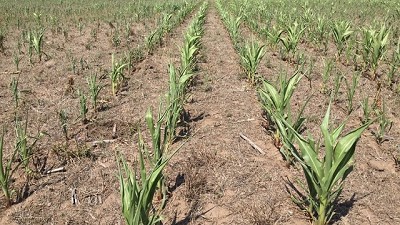 El deber del agua, por Héctor A. Huergo