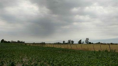 En lo que va del año llovió, en general, 150 milímetros menos de lo normal en la pampa húmeda