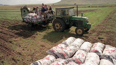 Quejas de FAA por la importación de papa de Brasil