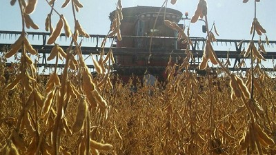 Prevén una baja de hasta el 35% en la inversión en cosechadoras