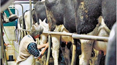 Positivo para tamberos: bajan de forma permanente la retención del IVA al 1% 