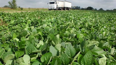 La soja, a salvo de un conflicto global; por Pablo Adreani