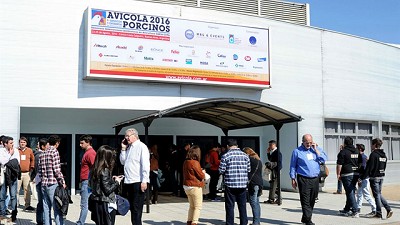 Ya se exportan más de 230.000 toneladas entre pollo, huevo y cerdo