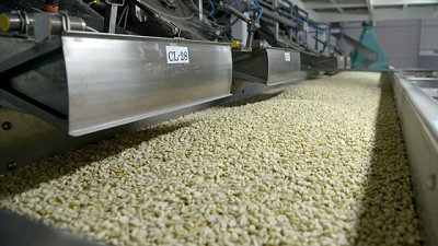 Agilización de trámites para exportar