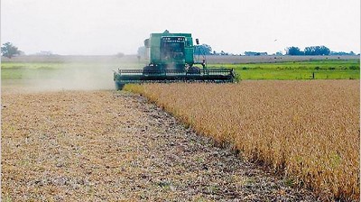 Cautas, empresas del agro local prevén que habrá más retención de cosecha