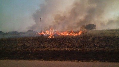 Amplían la emergencia agropecuaria por incendios para departamentos de La Pampa