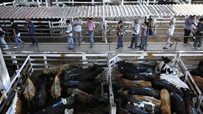Mercado de Liniers: entre el trasfondo de la mudanza y no dejar de ser referente
