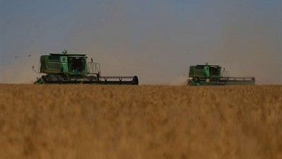 Sequía: por qué en soja hay rindes que van de 800 a más de 5500 kilos por hectárea