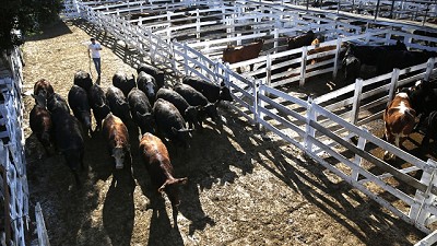 La hacienda se negoció con altibajos
