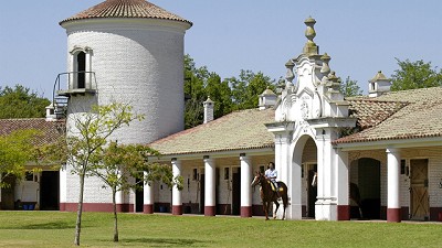 La hípica: radiografía de un sector en crisis que lucha por seguir en carrera