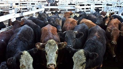 En marzo bajó el precio de la hacienda, pero subió 4,4% la carne al público