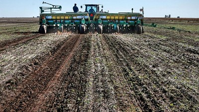 Tras dejar atrás la sequía, el campo recupera humedad para sembrar trigo