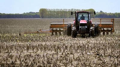 Del precio a una necesidad financiera: por qué va a crecer la siembra de trigo
