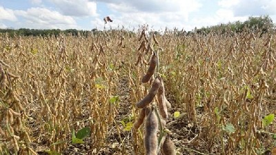 Federación Agraria reclama respuestas ante la peor sequía del siglo