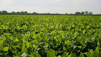 Remate del Primer lote de Soja en la BCR