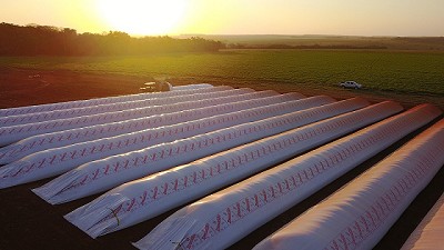 Radio: Pese a la seca, la bolsa para silo no bajaría sus ventas