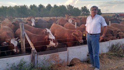 Ganadería de precisión: genómica, big data e inteligencia artificial para producir más