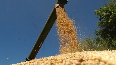 La cosecha de Paraguay, en progreso