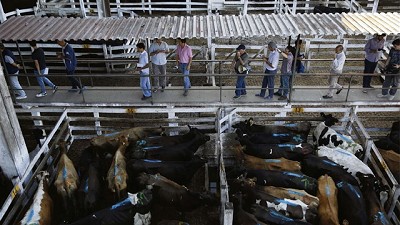 Mercado de Liniers: Ezeiza o Cañuelas, la grieta por la mudanza de un lugar histórico